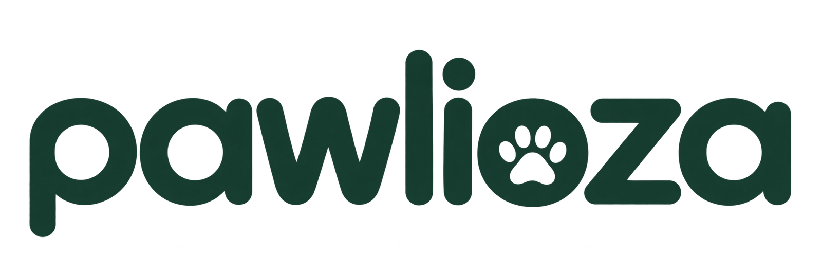 Pawlioza