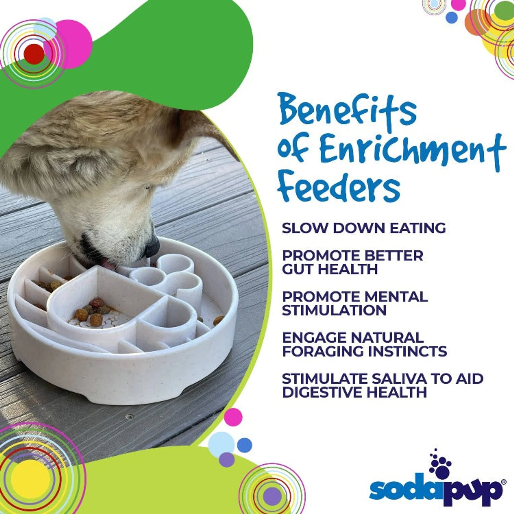 SodaPup Java eBowl Slow Feeder for Dogs - Image 3